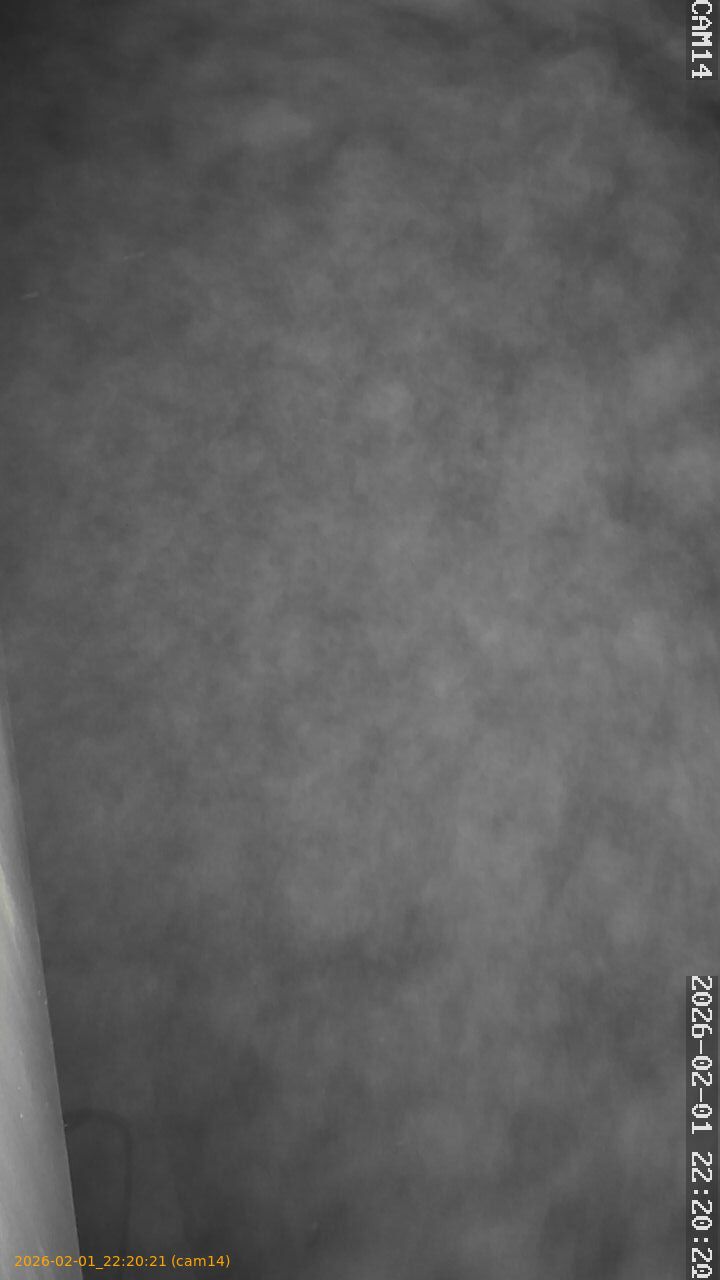 thumbnail_20260201222021