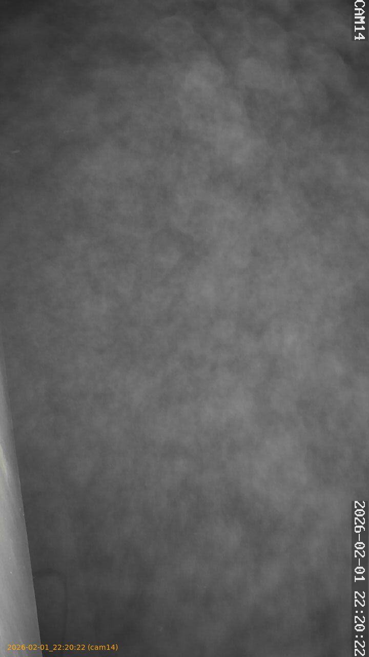 thumbnail_20260201222022