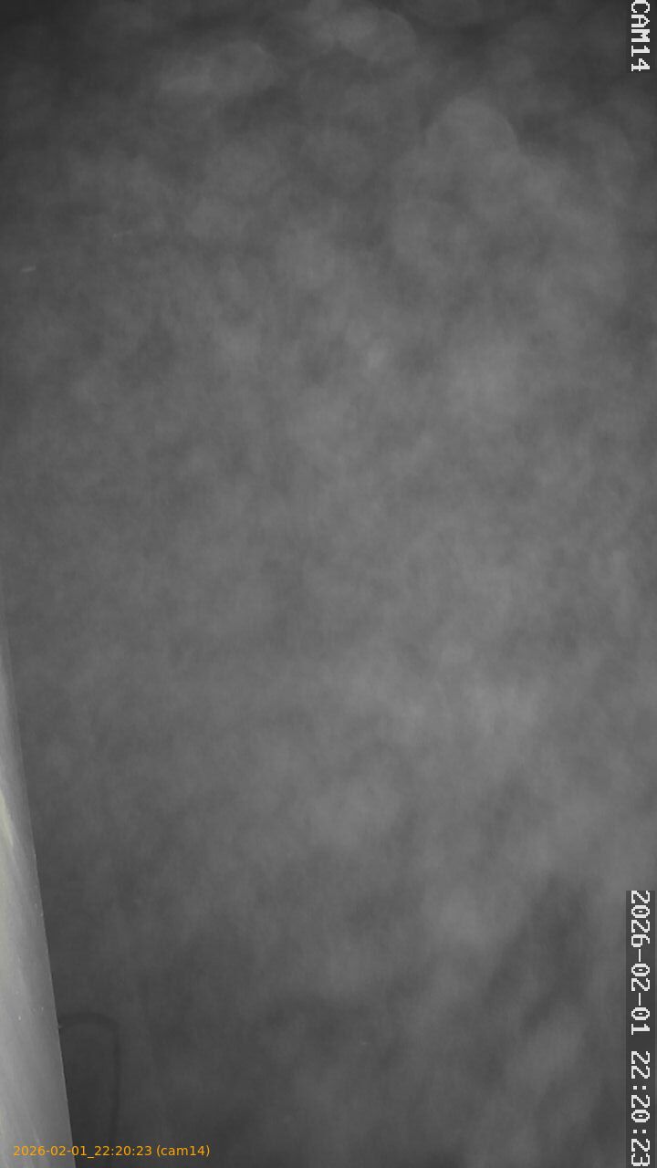 thumbnail_20260201222023