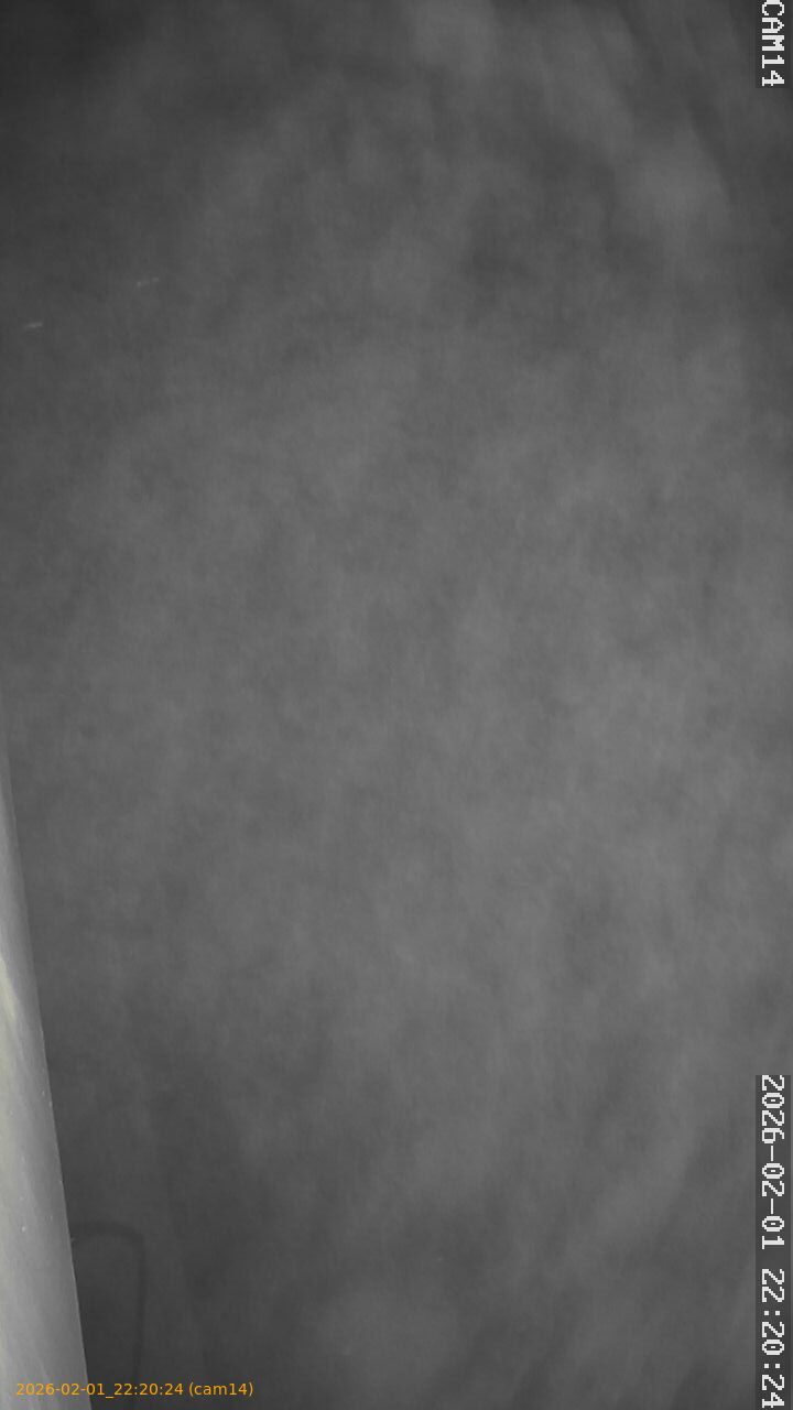 thumbnail_20260201222024