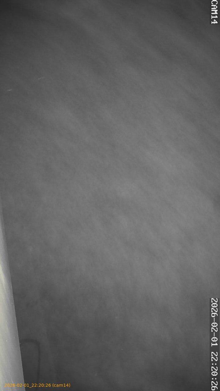 thumbnail_20260201222026