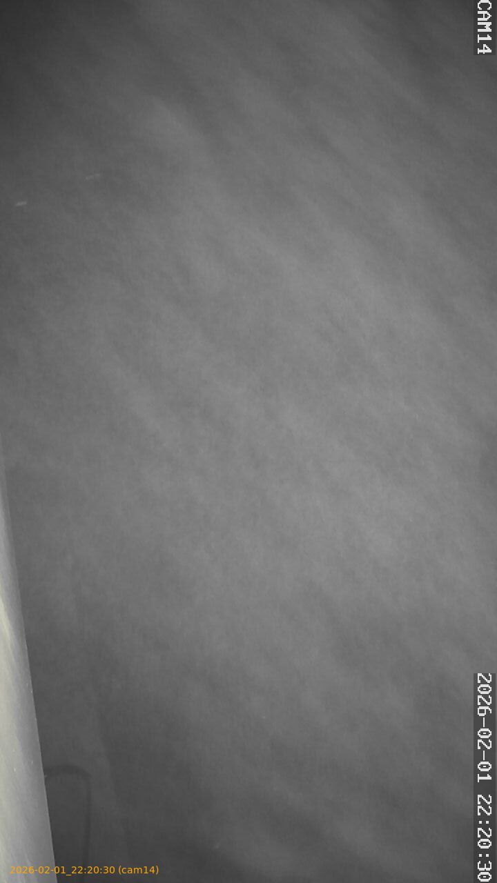 thumbnail_20260201222030