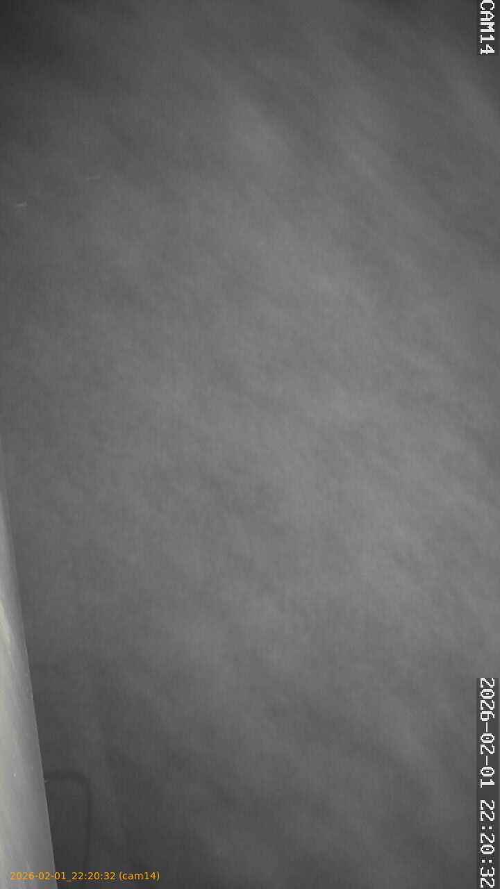 thumbnail_20260201222032