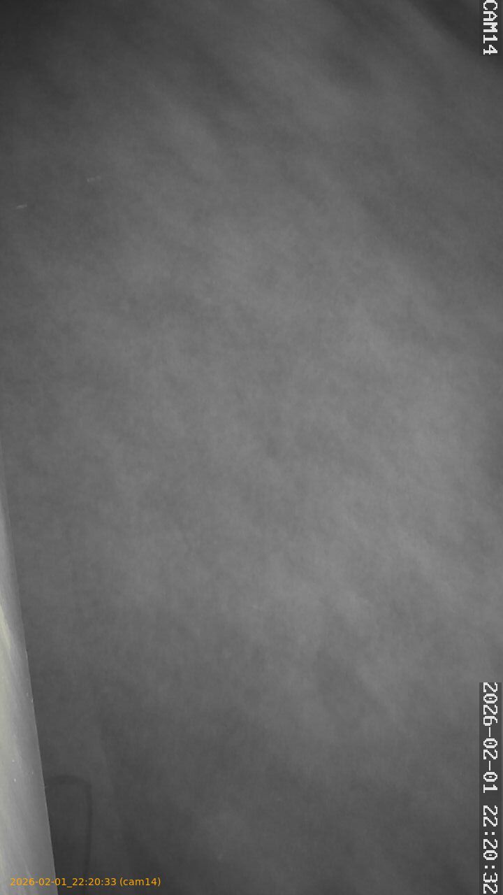 thumbnail_20260201222033