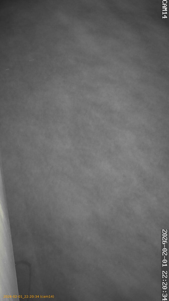 thumbnail_20260201222034