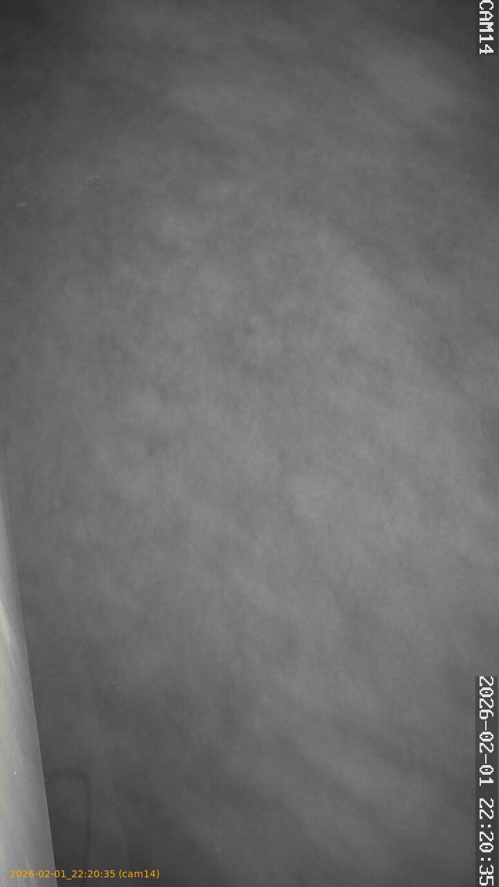 thumbnail_20260201222035