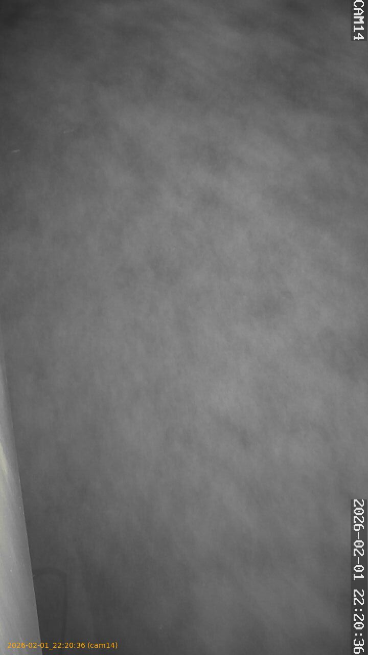 thumbnail_20260201222036