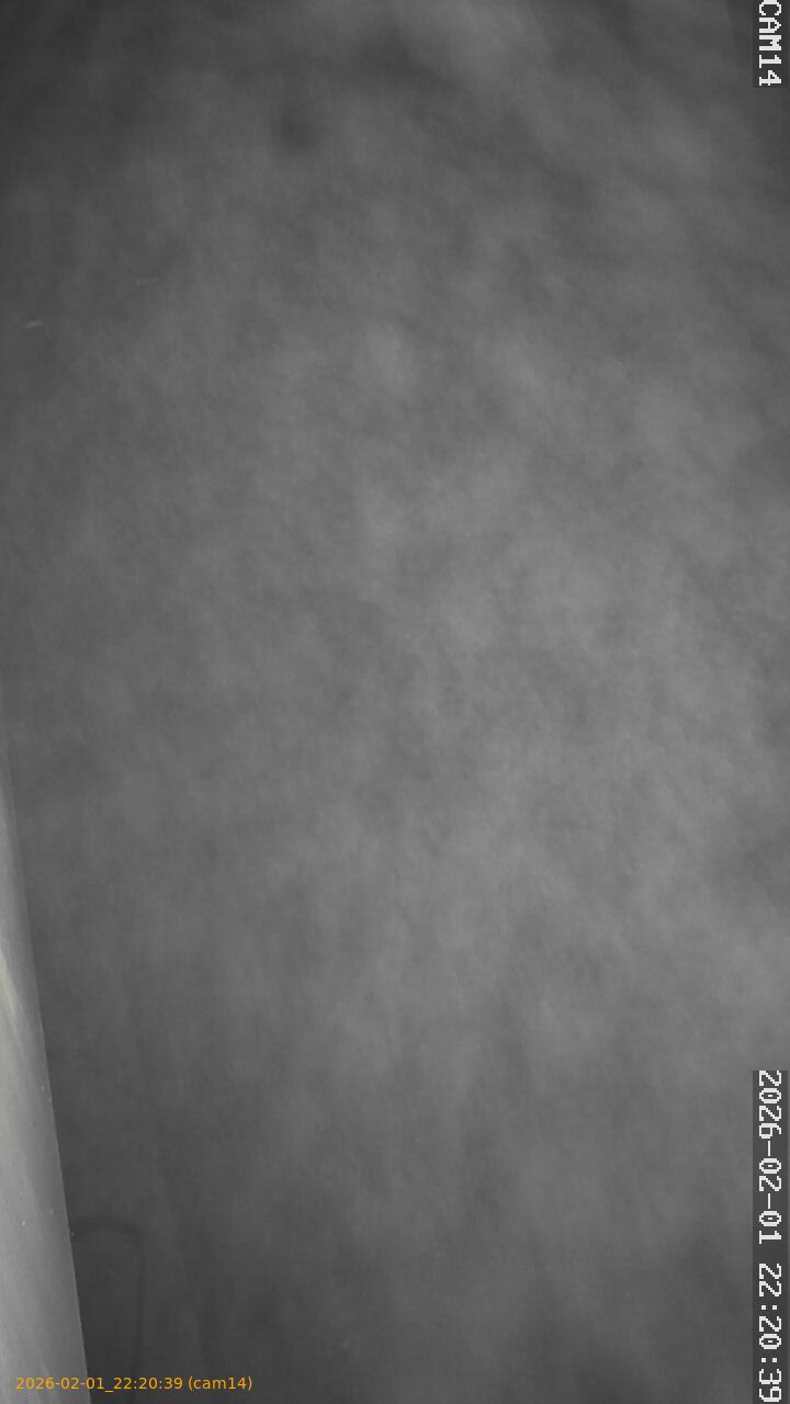 thumbnail_20260201222039