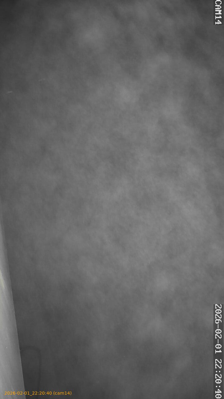 thumbnail_20260201222040