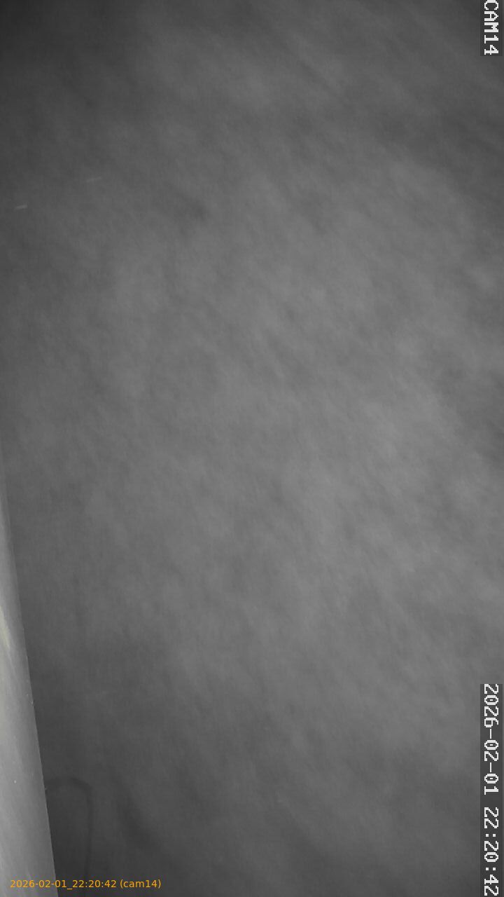 thumbnail_20260201222042