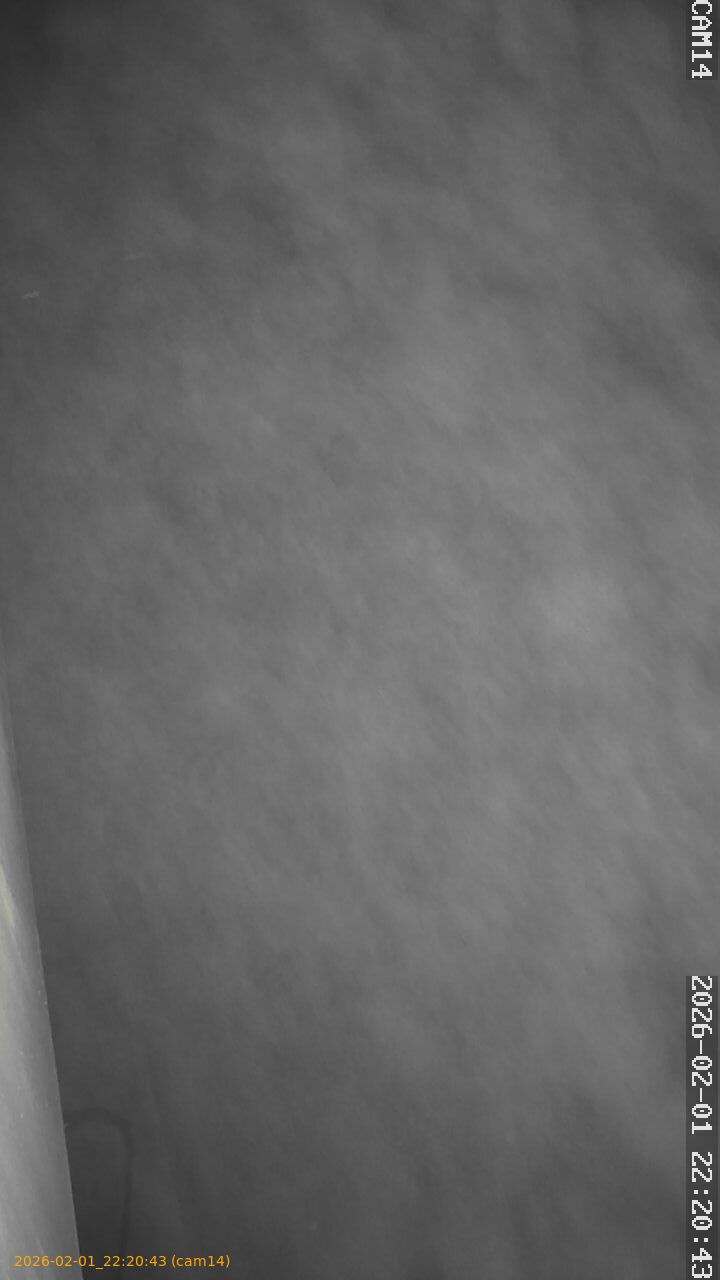 thumbnail_20260201222043