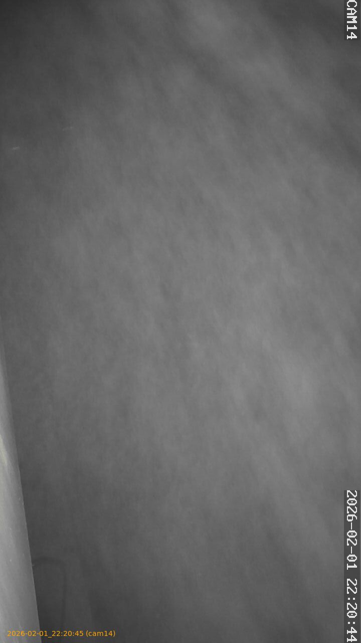 thumbnail_20260201222045