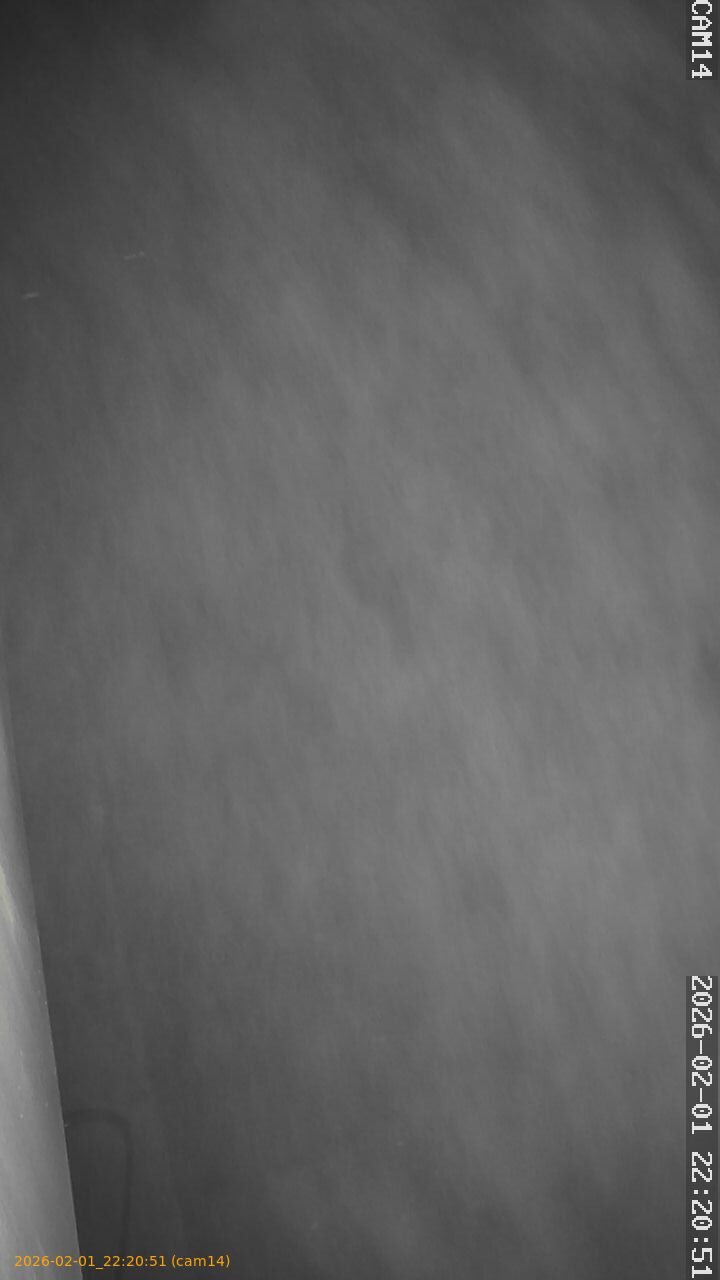 thumbnail_20260201222051