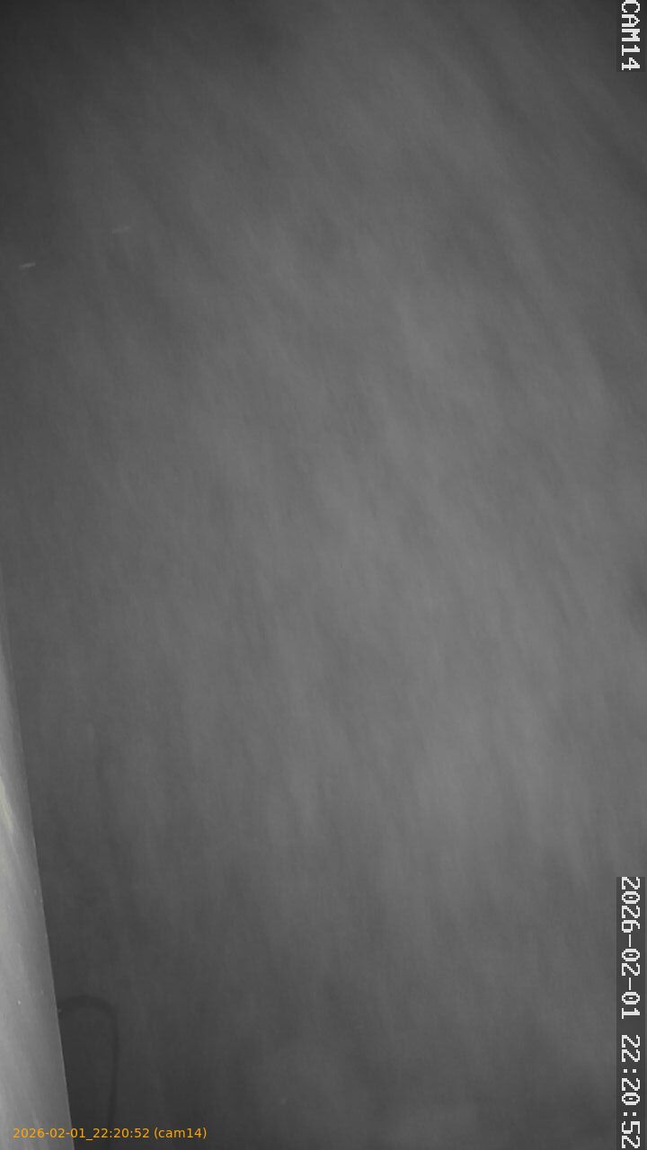 thumbnail_20260201222052