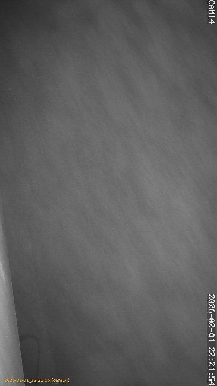 20260201222155