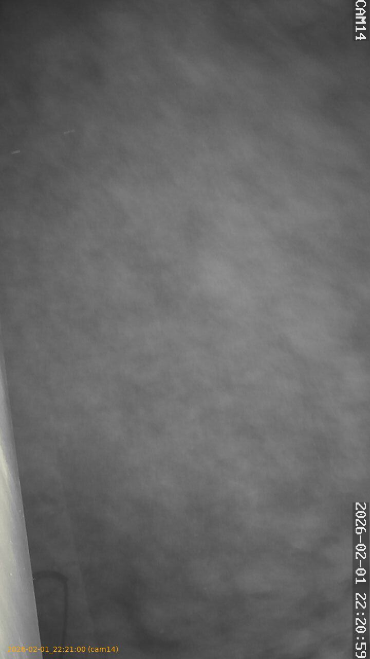 thumbnail_20260201222100