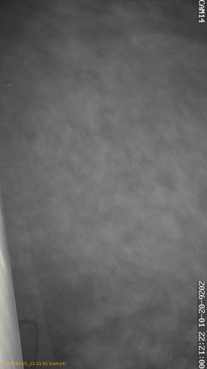 thumbnail_20260201222101