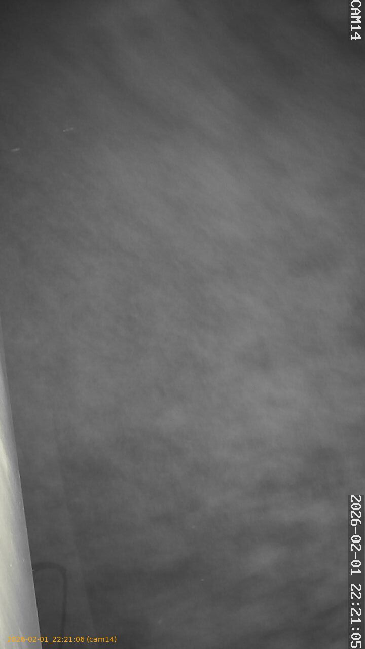 thumbnail_20260201222106