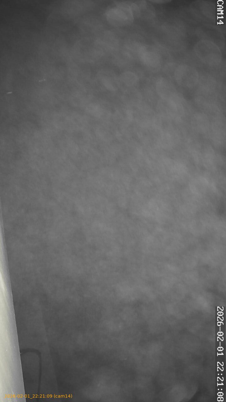 thumbnail_20260201222109