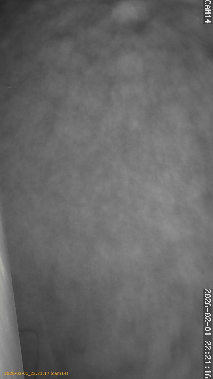 thumbnail_20260201222117