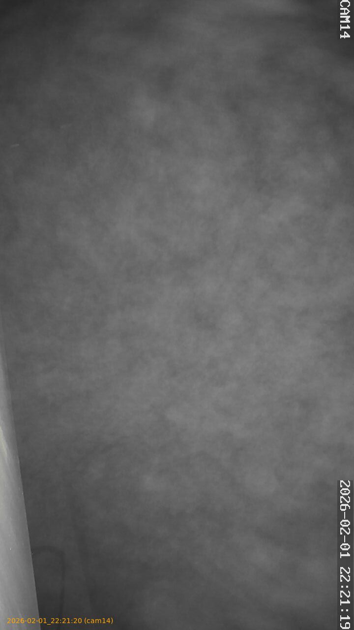 thumbnail_20260201222120