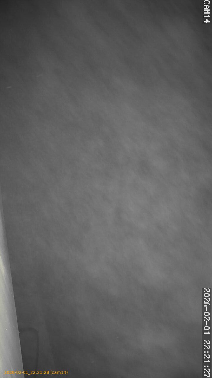 thumbnail_20260201222128