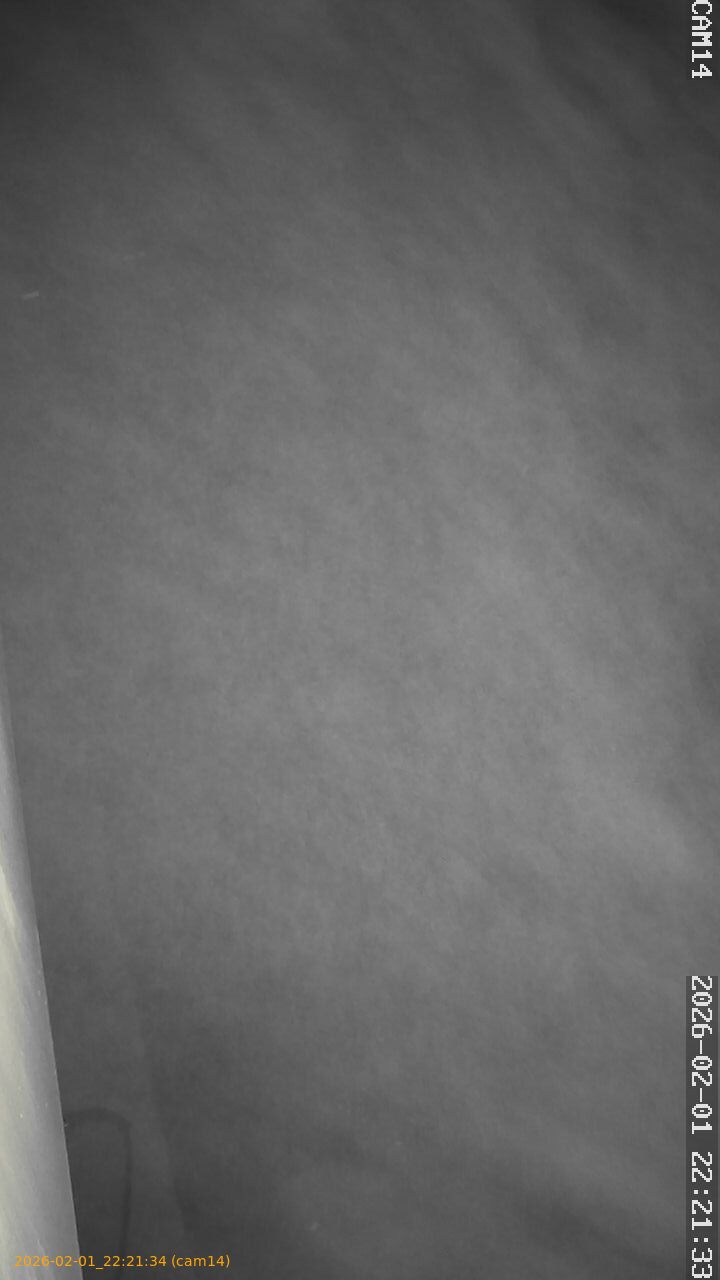 thumbnail_20260201222134