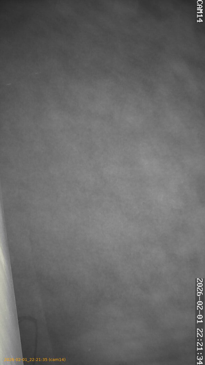 thumbnail_20260201222135