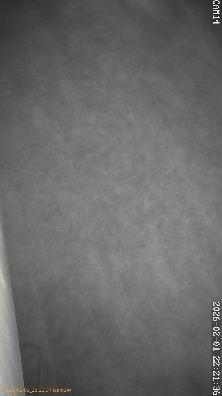 thumbnail_20260201222137