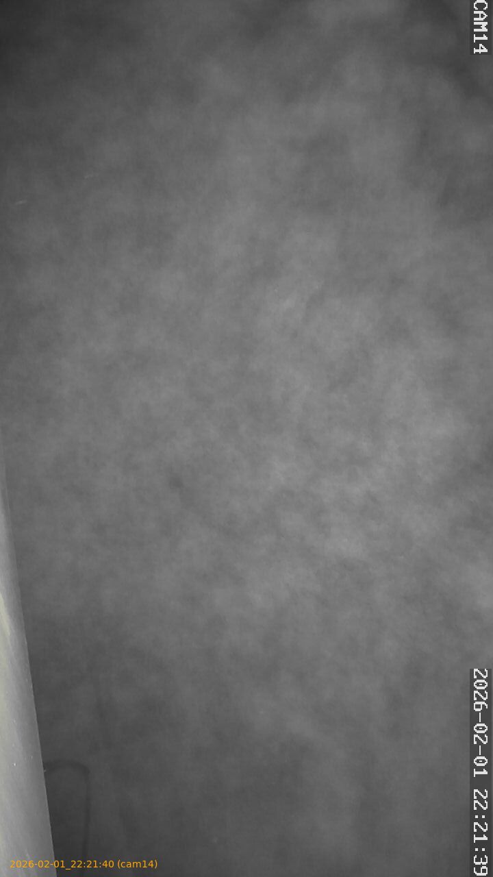 thumbnail_20260201222140