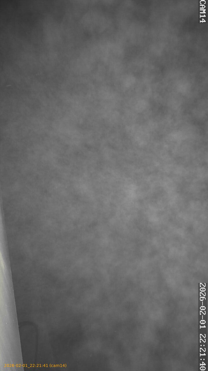 thumbnail_20260201222141