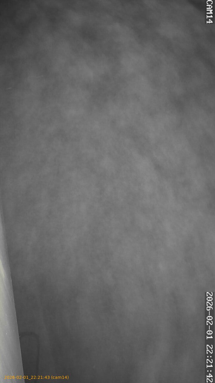 thumbnail_20260201222143