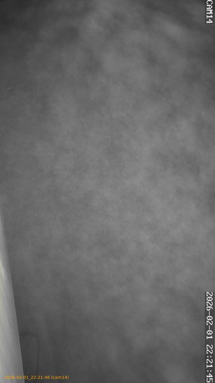 thumbnail_20260201222146