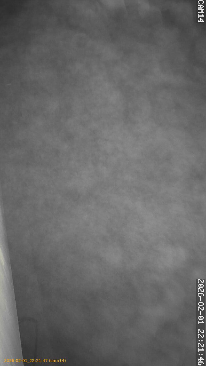 thumbnail_20260201222147