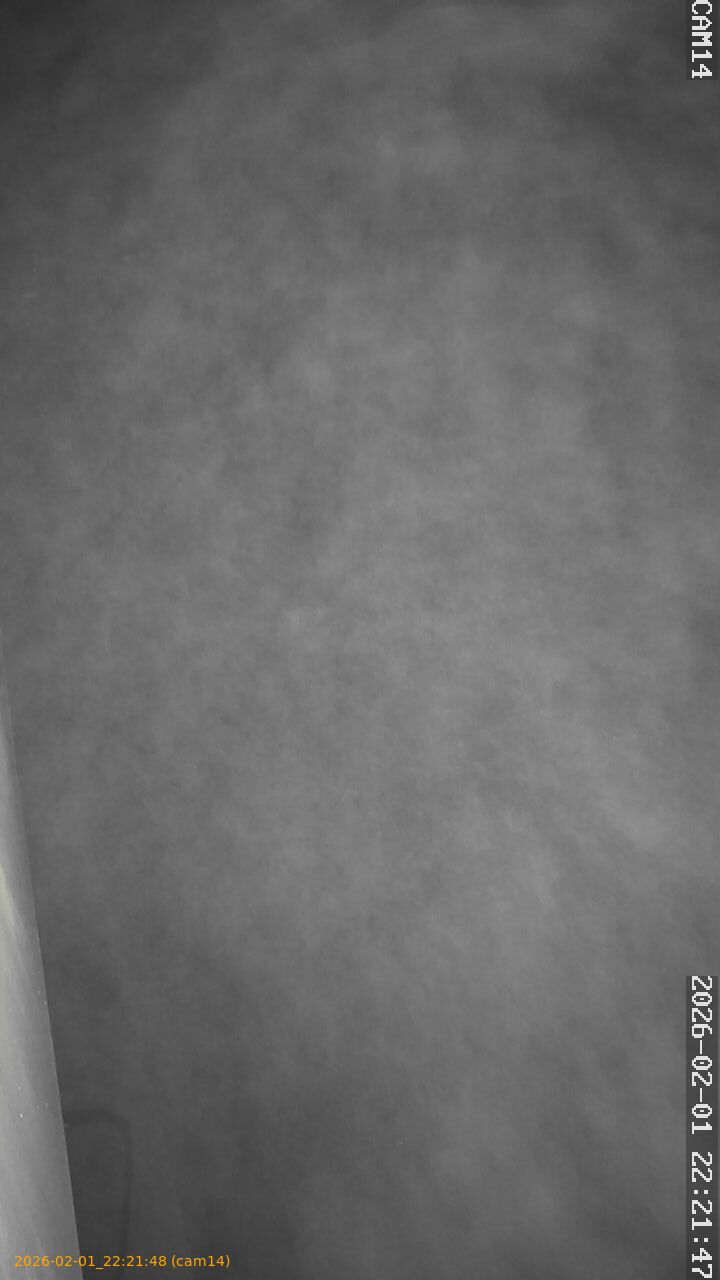 thumbnail_20260201222148