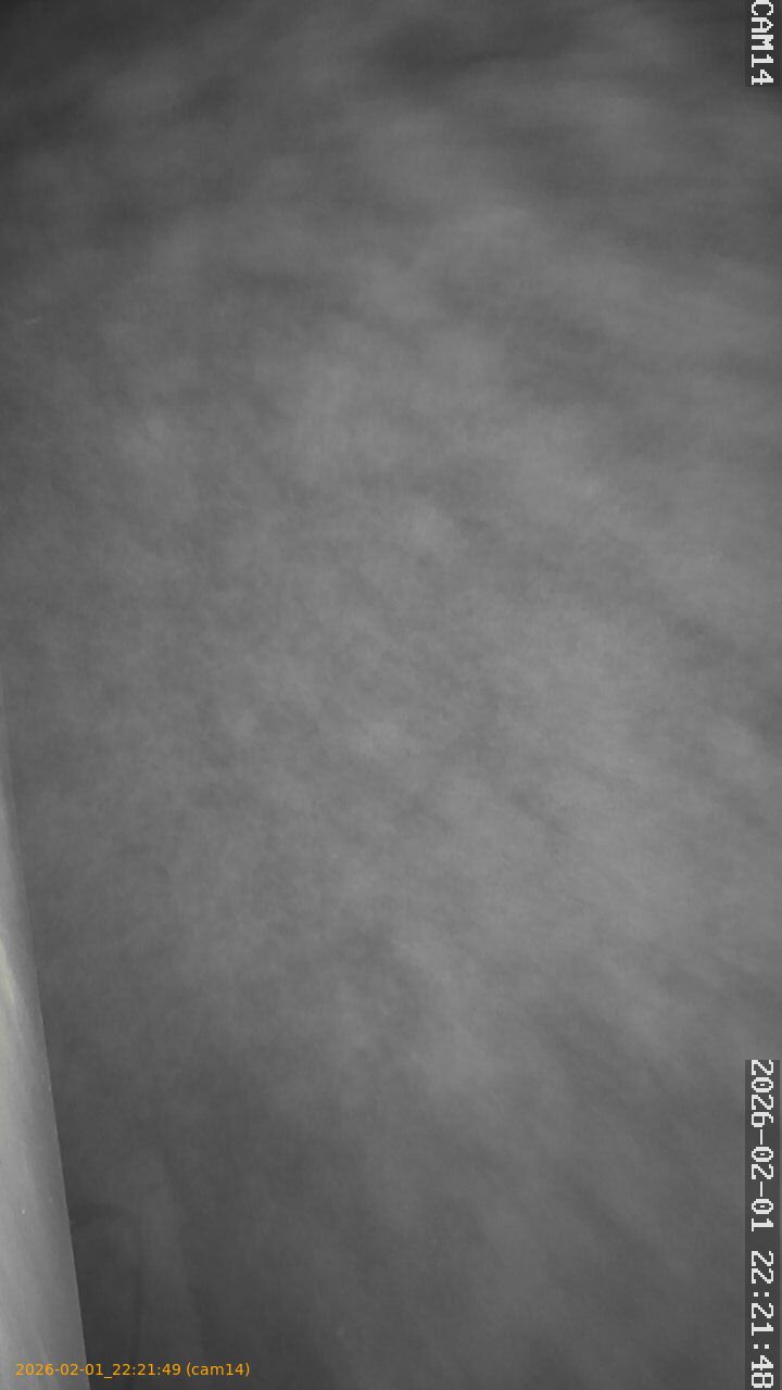 thumbnail_20260201222149