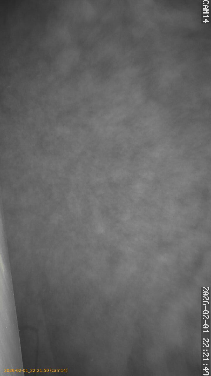 thumbnail_20260201222150