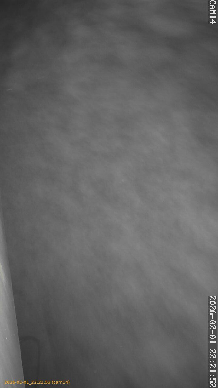 thumbnail_20260201222153