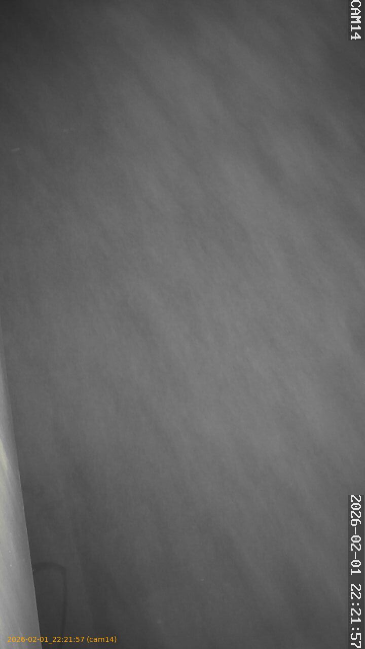 thumbnail_20260201222157