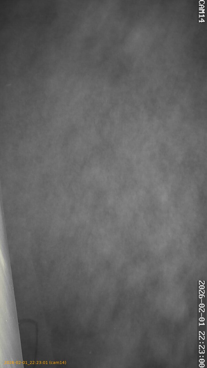 thumbnail_20260201222301