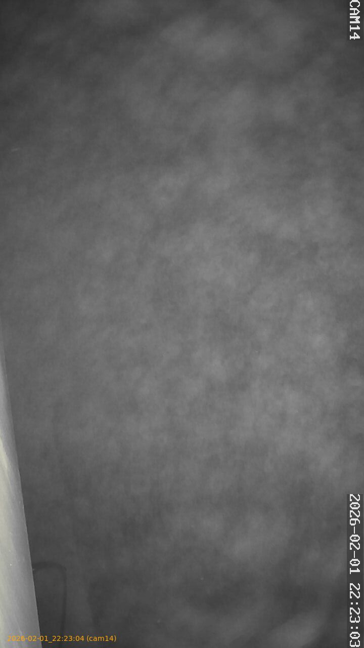 thumbnail_20260201222304