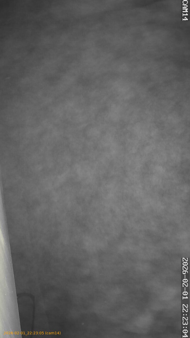 thumbnail_20260201222305