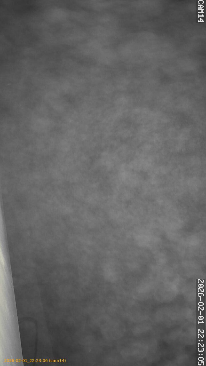 thumbnail_20260201222306