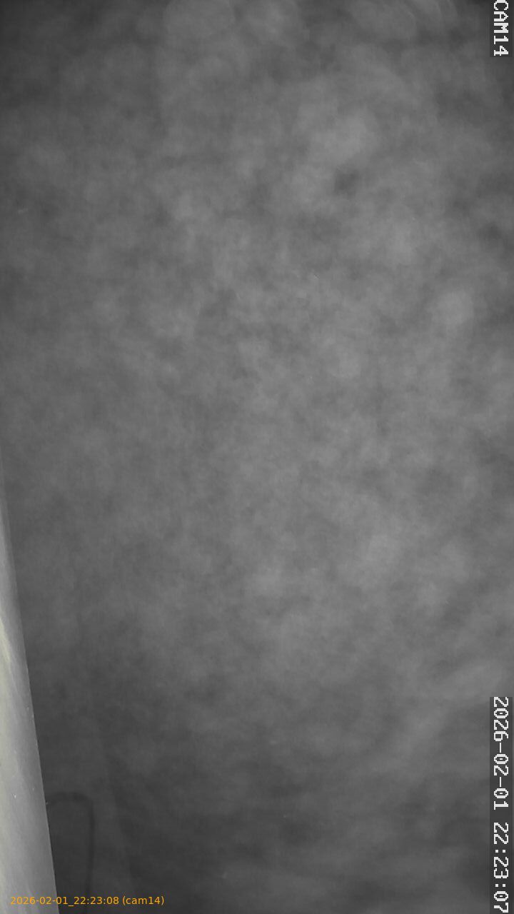 thumbnail_20260201222308