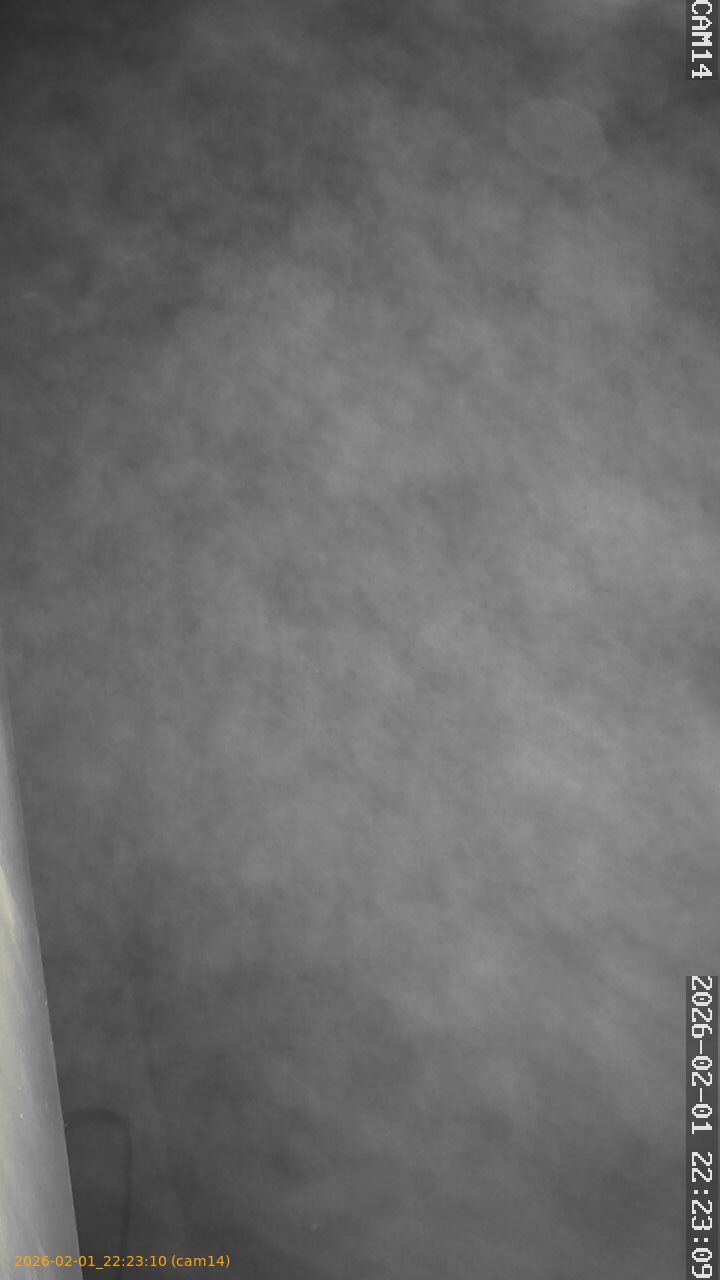 thumbnail_20260201222310