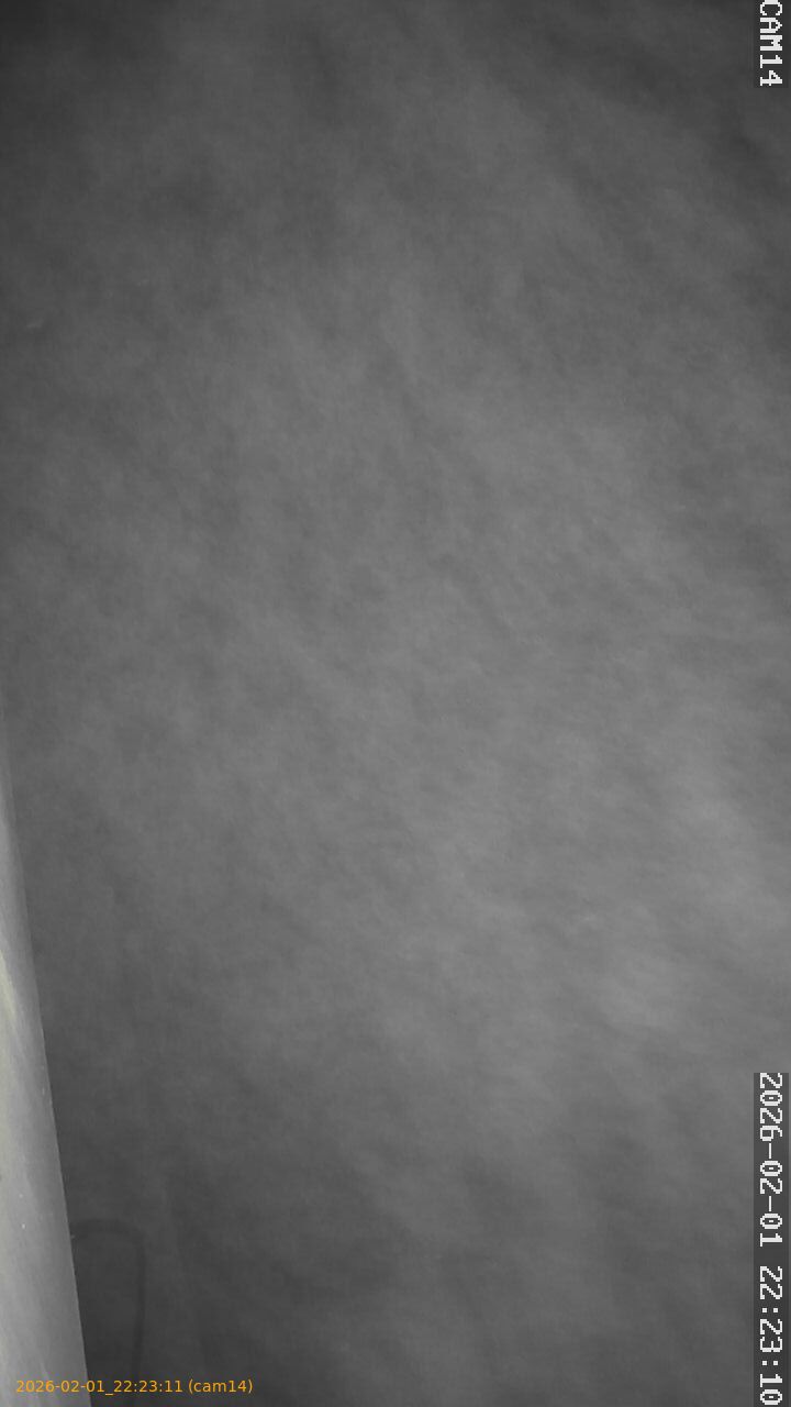 thumbnail_20260201222311