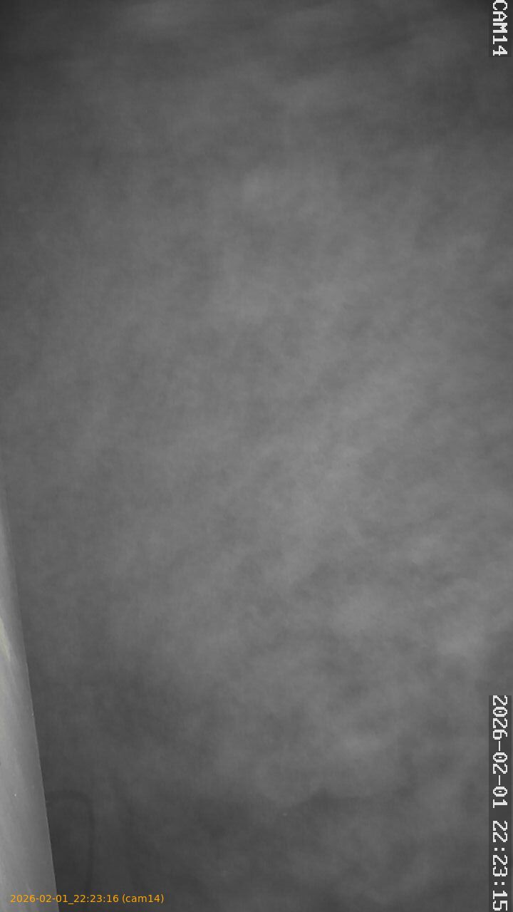 thumbnail_20260201222316