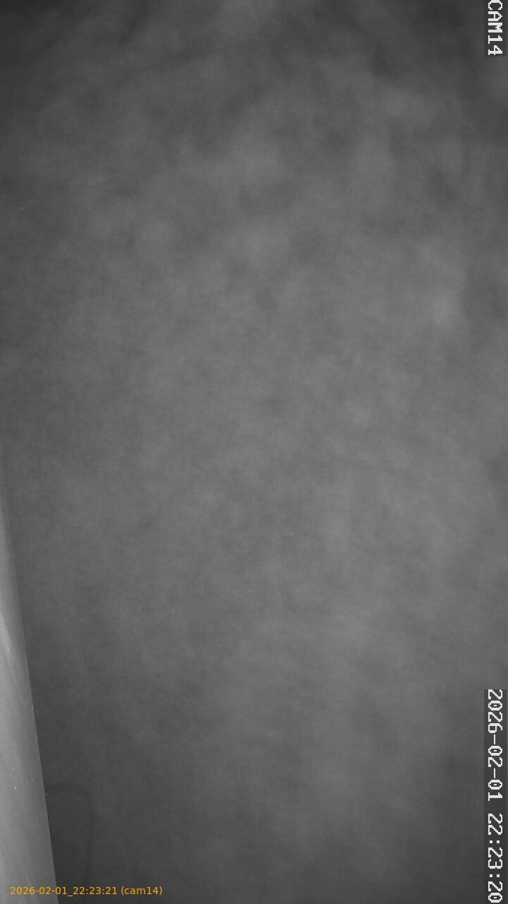 thumbnail_20260201222321