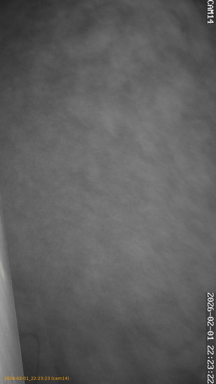 thumbnail_20260201222323