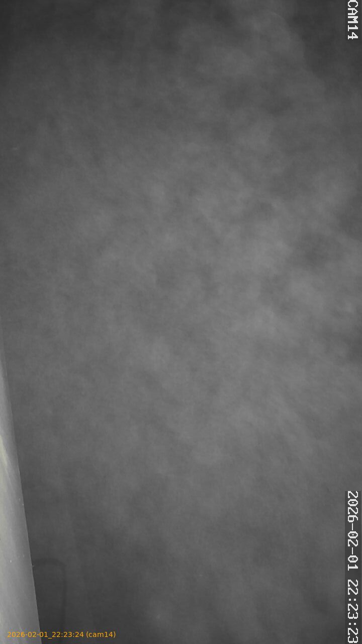 thumbnail_20260201222324